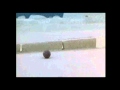 Pingu Svensk Text