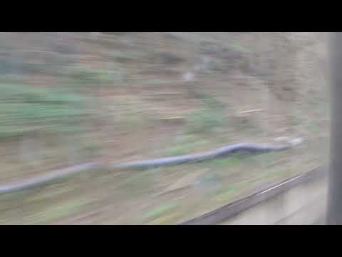 A bordo dell'IC 703. Ponti sull'Ufita