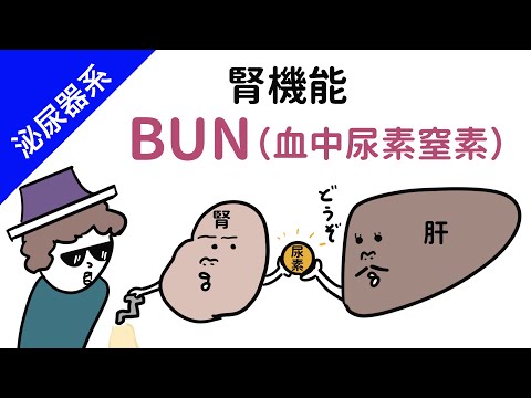 ゾシス・ゲニキュラータ