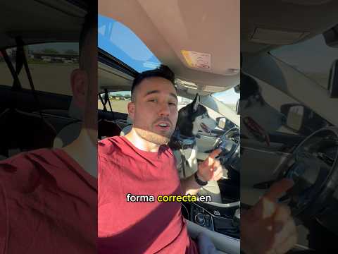 ¿CÓMO VIAJAR CON UN PERRO? | Riku el husky ciclista #perros #husky #humor #huskysiberiano