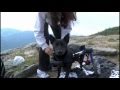 dog wheelchairs