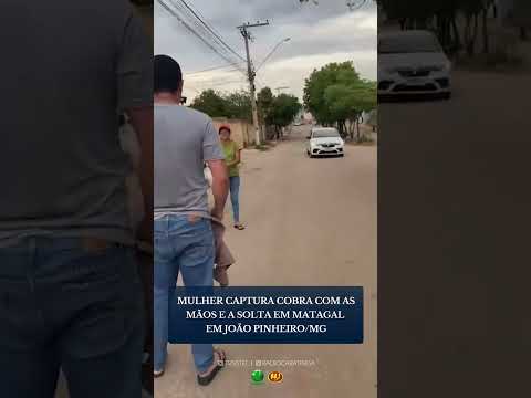 MULHER CAPTURA COBRA COM AS MÃOS E A SOLTA EM MATAGAL EM JOÃO PINHEIRO/MG