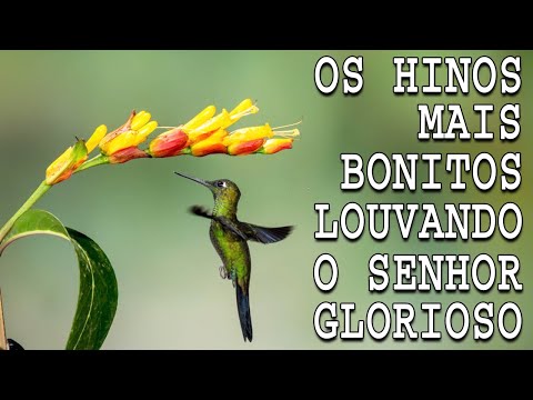 Hinos CCB 2023 - Os Melhores Louvores CCB Mais Tocados - A Melodia Do Hino Ccb Acalma A Alma