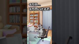 NISA貧乏 #猫ミーム #猫マニ