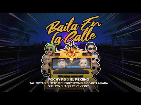 BAILE LA CALLE 2020 - Rochy RD ❌ El Pekeño FT VARIOS ARTISTAS