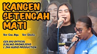 Download lagu GEA AYU TERBARU Kangen Setengah Mati Cover Jandut Djalmo Pronojoyo 2025 mp3