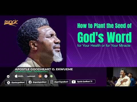 How To Plant The Seed Of God's Word For Your Health Or For Your Miracle