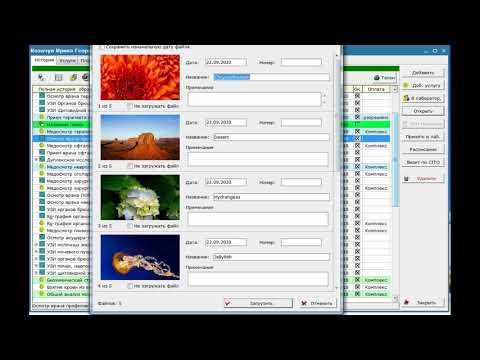 PicoMed Video