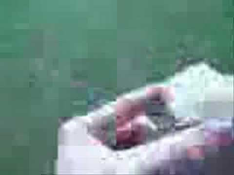 Party Hard- Random Stunts