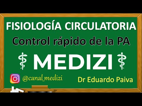 Class 28 Circulatory Physiology - Nervous regulation and rapid BP control (IG:@doctor.paiva)