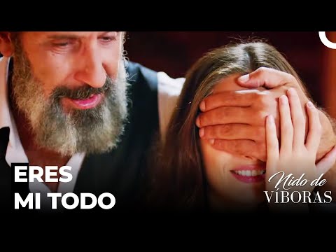 Sorpresa Romántica De Kudret A Elvan - Nido De Víboras