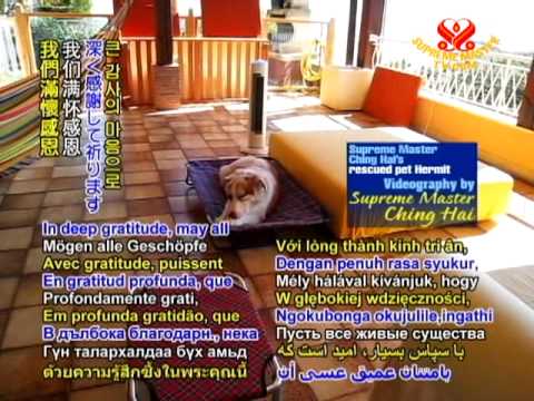 INTRO - Our beautiful world - 16 Apr 2011