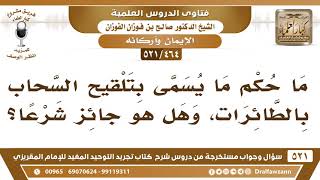 [464 -521] ما حكم ما يُسمى بتلقيح السحاب بالطائرات؟ - الشيخ صالح الفوزان image