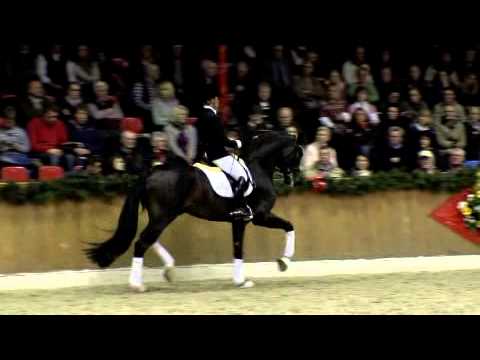 Dressurpferde Leistungszentrum Lodbergen - For Romance Hengstschau 2013 Vechta