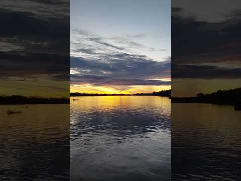 Puerto Nariño Amazonas Colombia #puertonarino #wildlife #nature #travel
