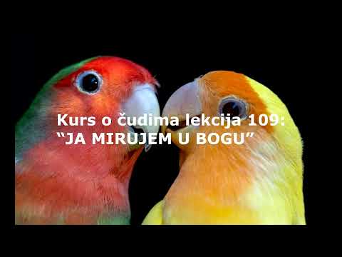 HRISTOVA UČENJA KURS O ČUDIMA LEKCIJA 109