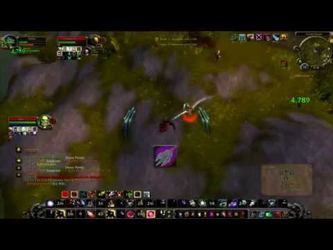 Brang 9 - WoW 100 MM Hunter PvP