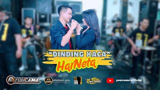 Download lagu DINDING KACA - DUET MESRA HARNAWA FT ARNETA JULIA (HARNETA) || YOUCAMA MUSIC || DHEHAN PRO AUDIO mp3
