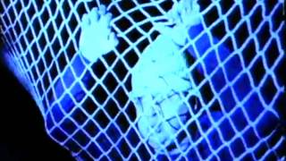 Dinosaur Jr - Start Choppin&#39;