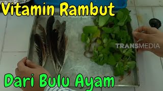Download lagu INOVASI VITAMIN RAMBUT DARI BULU AYAM | SI UNYIL (18/02/20) PART 2 mp3