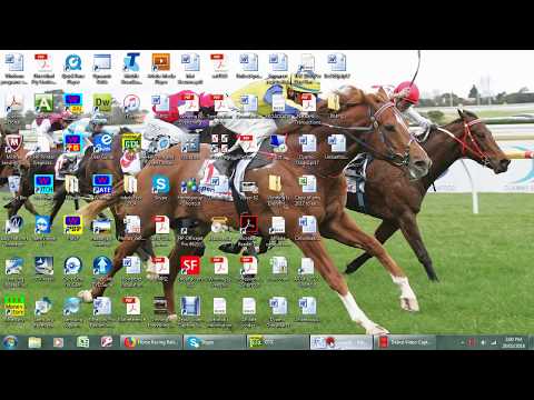 Surround Stakes Winner 2018