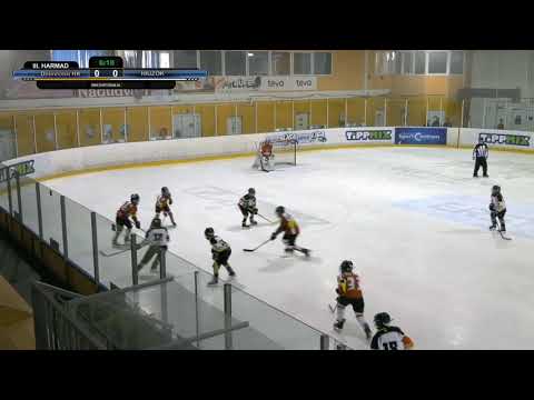 U12 DHK - Zempléni Hiúzok 2021 02 21 összefoglaló