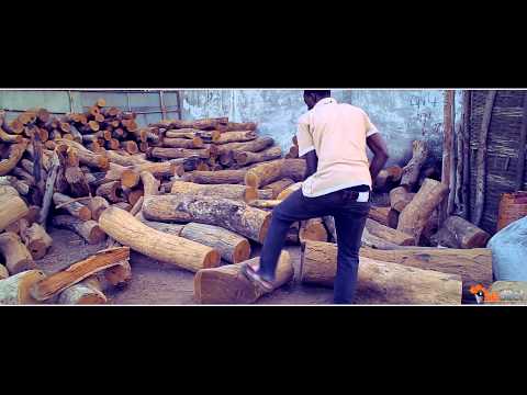 PA'PEACE DIANDY "Sénégalais"