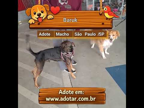 Vídeo de Baruk