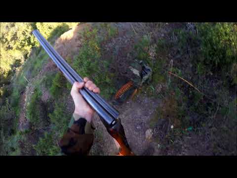 Caccia grossa_squadra Milia_Fluminimaggiore 2015