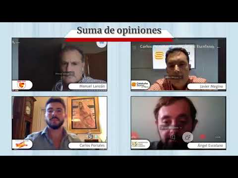 Suma de Opiniones: "GESTION POLITICA del COVID 19"