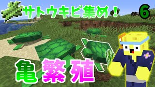 サトウキビを探し&カメ繁殖！【とみりんごクラフト】6日目