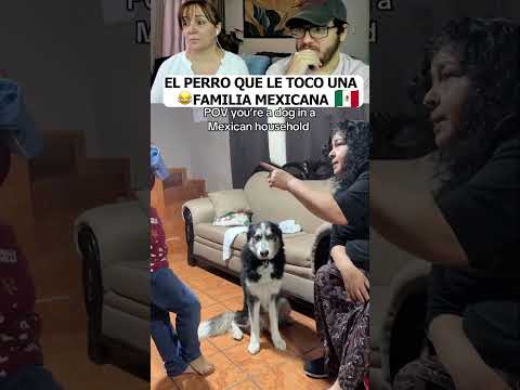 LA CARA DEL PERRO SE HIZO VIRAL...HUMOR MEXICANO! #shorts #humor