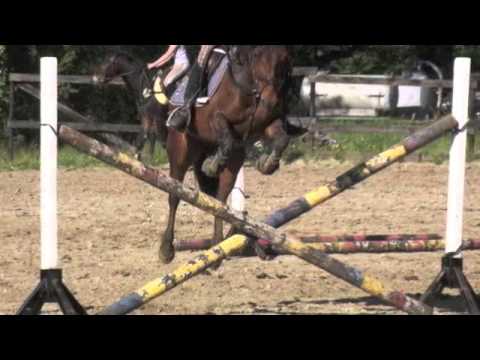 Maxima, pour Ambre et Marine :)