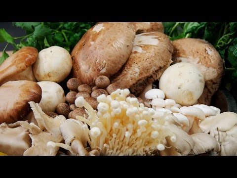 download lagu mp3 mp4 Which Mushroom Is The Best, download lagu Which Mushroom Is The Best gratis, unduh video klip Which Mushroom Is The Best