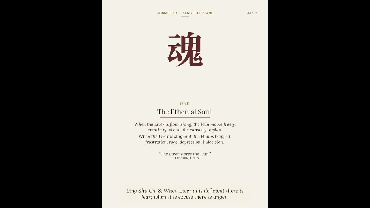 The Liver in Classical Chinese Medicine