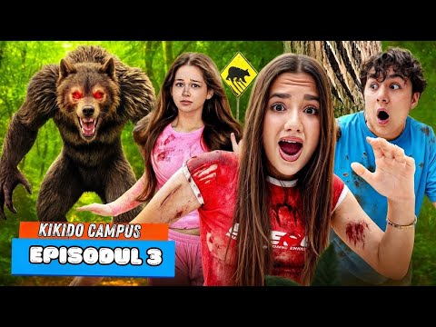 KiKiDo Campus Romanian and KiKiDo Campus Romanian - Compilații