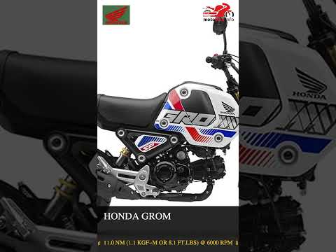 Honda Grom - Video 1