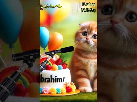 IBRAHIM HAPPY BIRTHDAY | HAPPY BIRTHDAY SONG WITH NAMES | Adorable Cute Cat 😺 #cat #cute