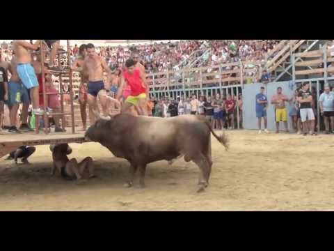 , title : 'WOOW‼️ FIRE BULL FESTIVAL IN SPANISH'