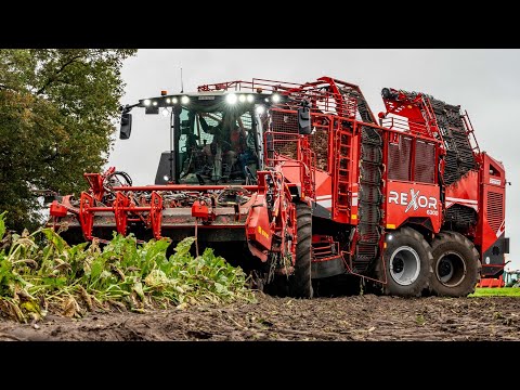 Red Beet Bull - Grimme Rexor 6300 *NEW* | Sugar beet harvest 2025