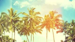 Sigala ft. Ella Eyre ~ Came Here For Love {Calvo remix} ( s l o w e d )