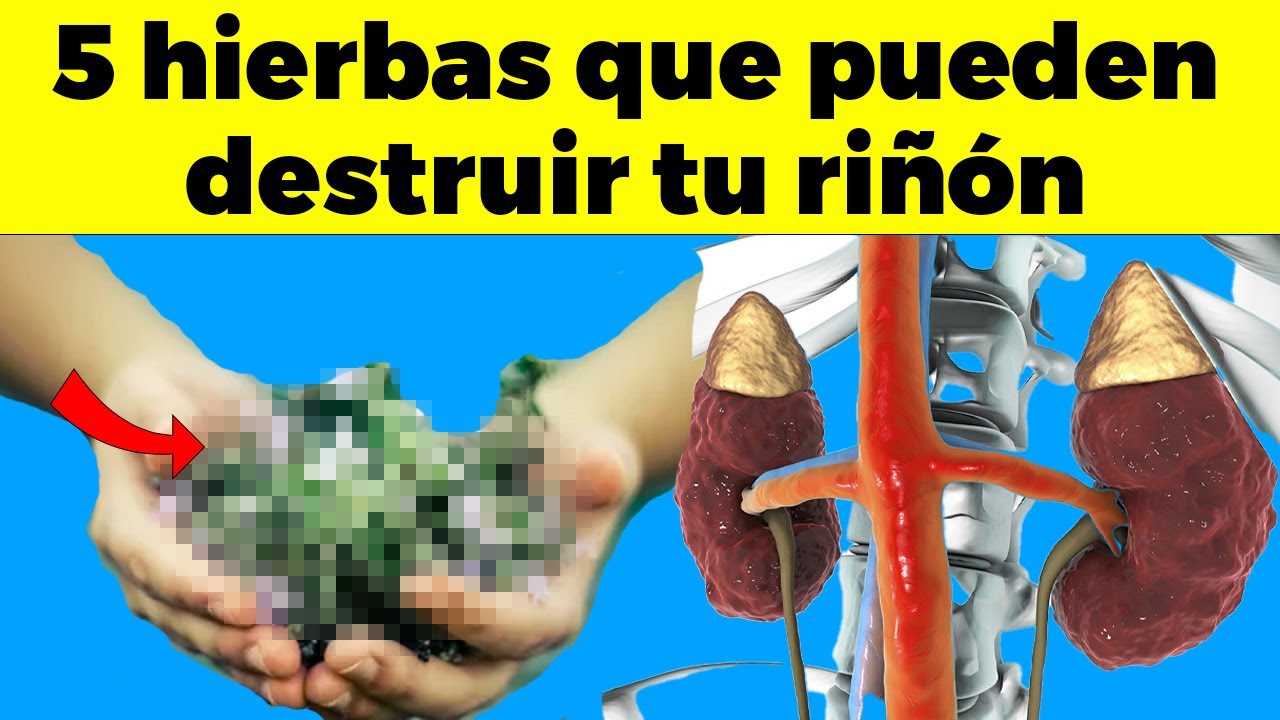 5 hierbas que pueden destruir tu riñón