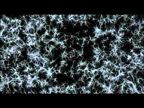 Faszination Bewusstsein - Das menschliche Denken