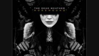 The Dead Weather No hassle night