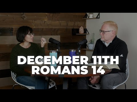 One Single Story: Day 345