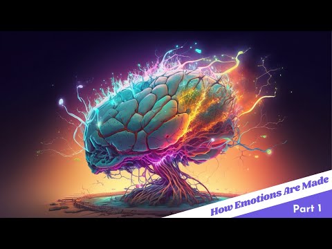 情緒是如何產生的？建構情緒理論 (How Emotions Are Made: The Theory of Constructed Emotion)