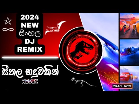 2024 New Sinhala Dj Remix - Seethala Haduwakin - සරසවිය - Female Version - New Sinhala Song - Dj SKB