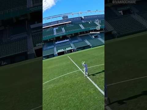 Estadios 1