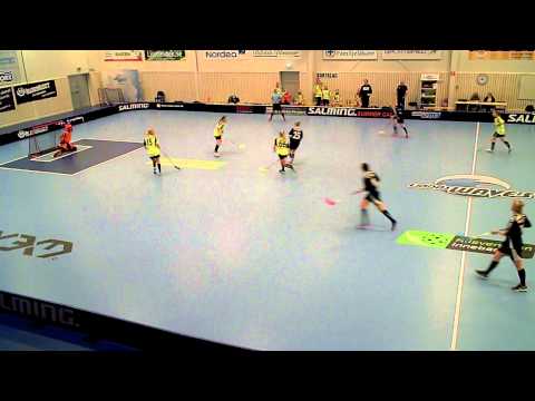 FV1 150206 Lindås IBK Dj 94 - Partille IBS Dj 96 (5-3) HD Per1