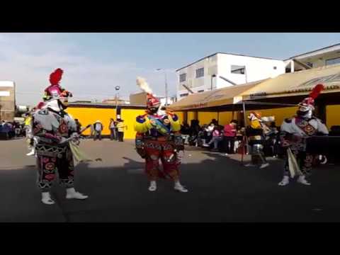Negrillos Talavera de la Reyna 2017 (Estribillo, Marchi de Salida)